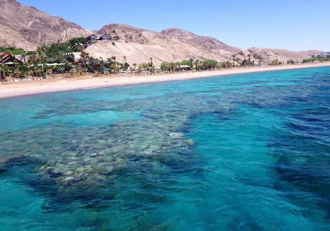 Eilat Suite Boutique Bagian luar foto